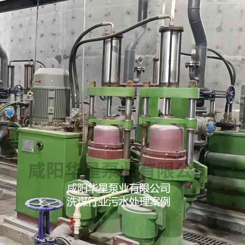 壓濾機入料泵在洗煤廠使用現場圖片